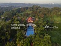 For Sale - Planters' Haven : Planters' Haven