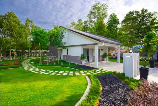 Bandar Ainsdale : Arina