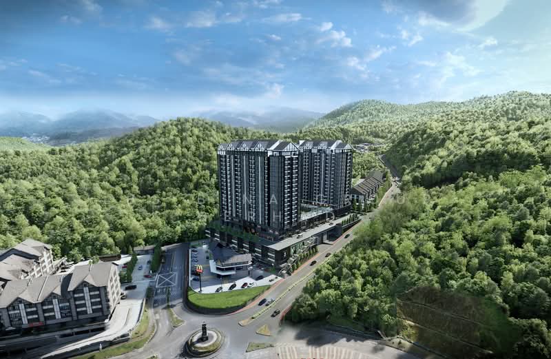 For Sale - Centrum Iris Shop