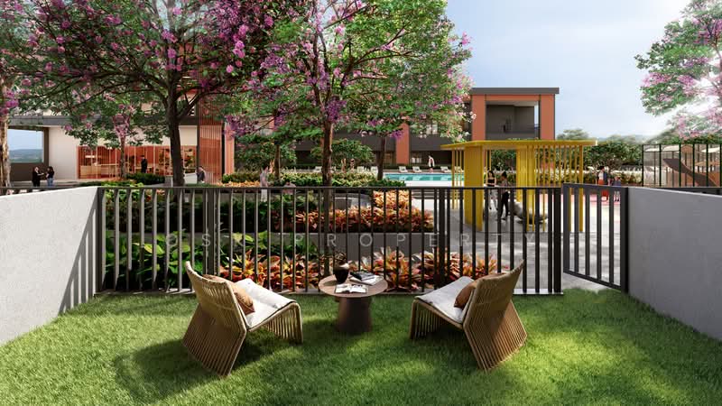 For Sale - OSK Areca